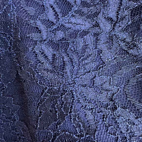 JH Evenings Womens Floral Lace Chiffon Sleeveless Dress Size 8 Navy Blue Formal - Picture 5 of 13